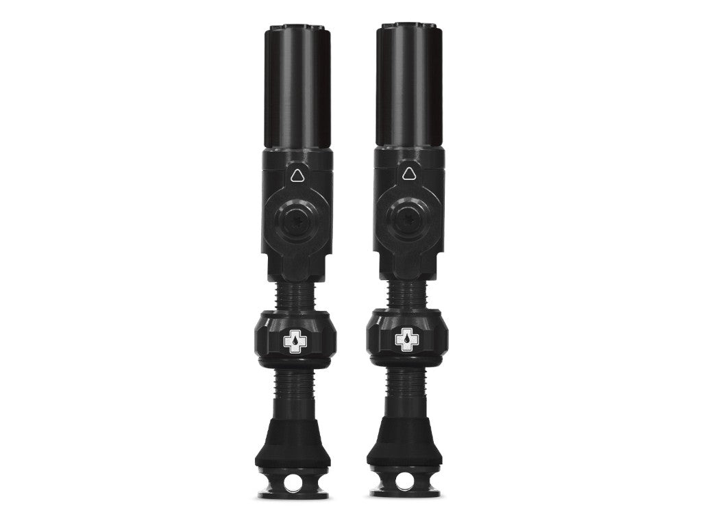 BC2C29D91AB03704AFD31D35F4736D3730AC2F92A09C173ED32EA14DBEAD42F9