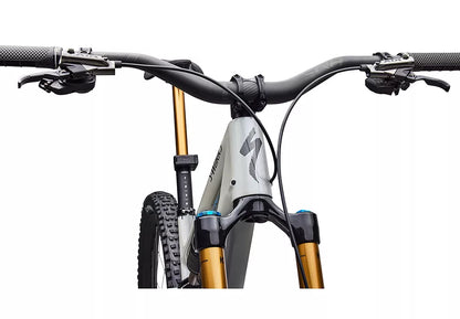 S-Works Stumpjumper 15 EVO Di2