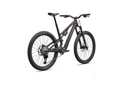 Stumpjumper 15 EVO Expert<– FACT 11m Carbon, FOX Performance Elite mit GENIE, XT Di2