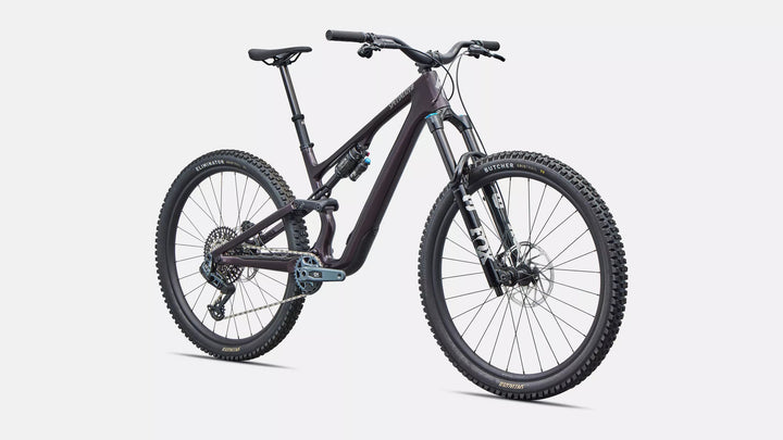 Stumpjumper 15 EVO Expert