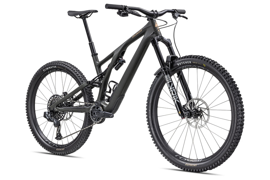 STUMPJUMPER EVO LTD